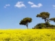 <font color='#FF0000'>���᣺ֱ�桰����c�О�ģʽ����</font>